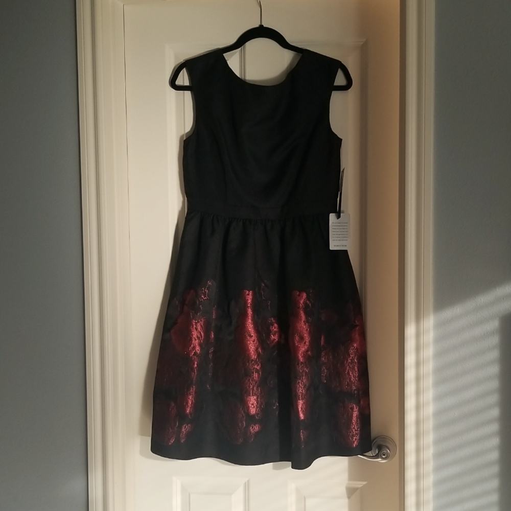 Cynthia Steffe Black Sleeveless A Line Dress